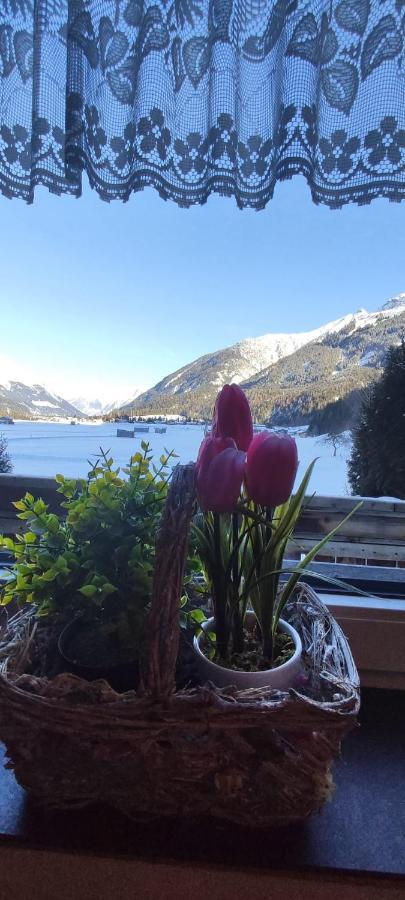 Ferienhaus Lechtaler Alpen Bach  Esterno foto